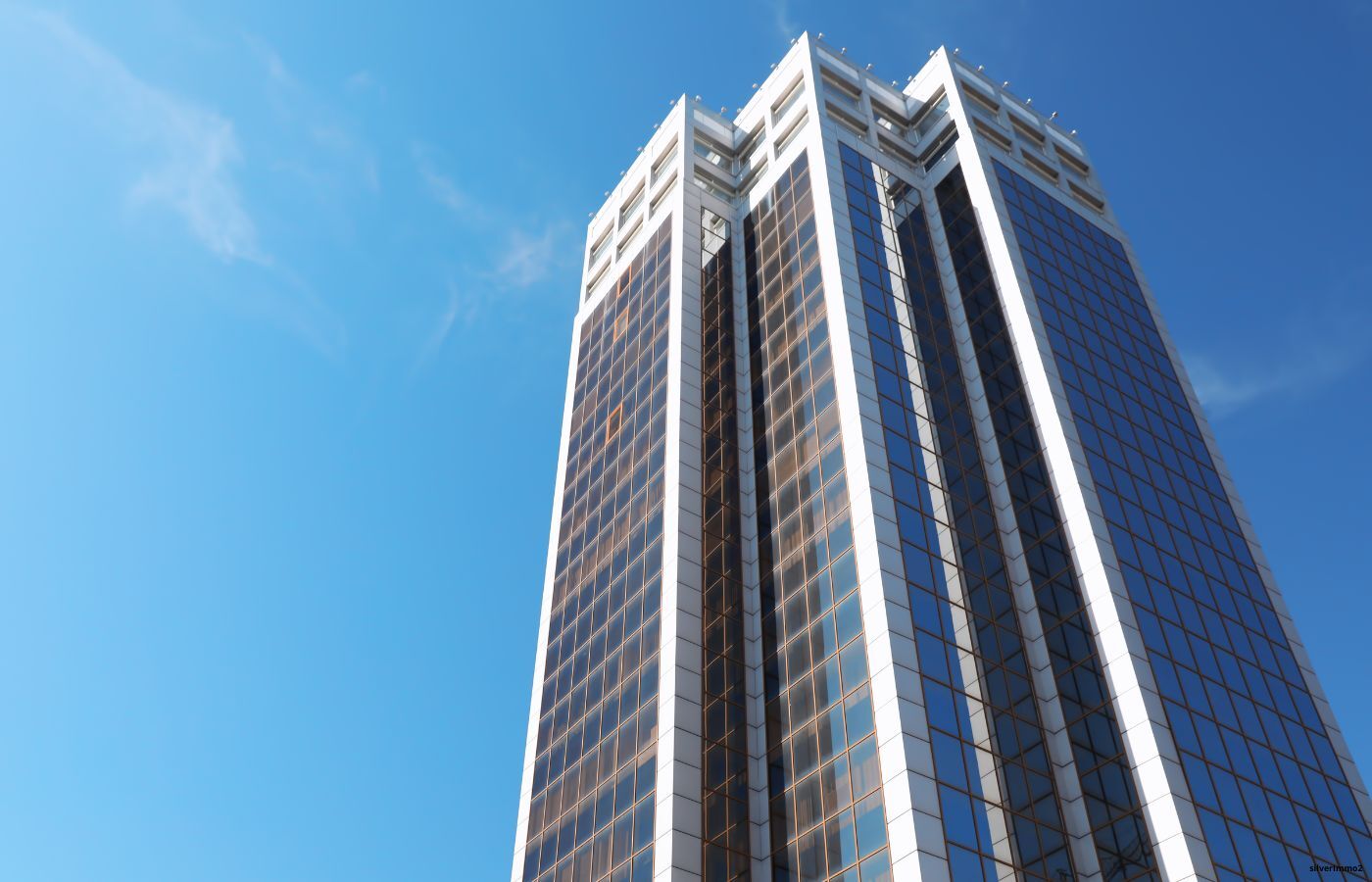 Lorem ipsum dolor sit amet consectetur adipiscing elit